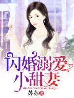 闪婚溺爱小甜妻