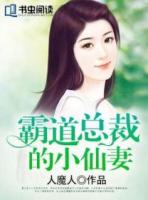 霸道总裁的小仙妻