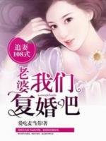 追妻108式：老婆，我们复婚吧