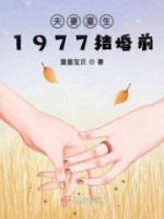 夫妻重生1977结婚前
