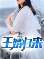 王婿归来