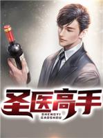 圣医高手