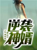 逆袭神婿