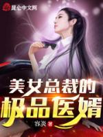 美女总裁的极品医婿