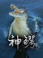 一生何求