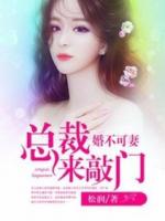 婚不可妻：总裁来敲门