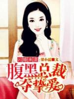 闪婚来袭：腹黑总裁夺挚爱