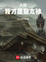 大明：我才是皇太孙
