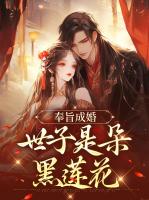 奉旨成婚，世子是朵黑莲花