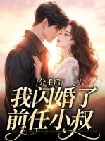 分手后，我闪婚了前任小叔
