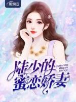 陆少的蜜恋娇妻