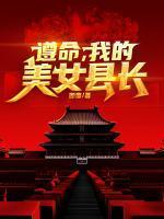 官途：遵命，我的美女县长！
