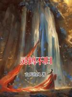 灵鹤不归