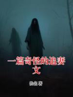 一篇奇怪的追妻文