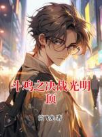 斗鸡之决战光明顶