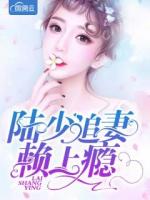 陆少追妻赖上瘾