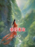 垂暮迷途